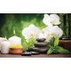 Wallpapers spa composition with bamboo and white orchids Wallpapers spa composition with bamboo and white orchids