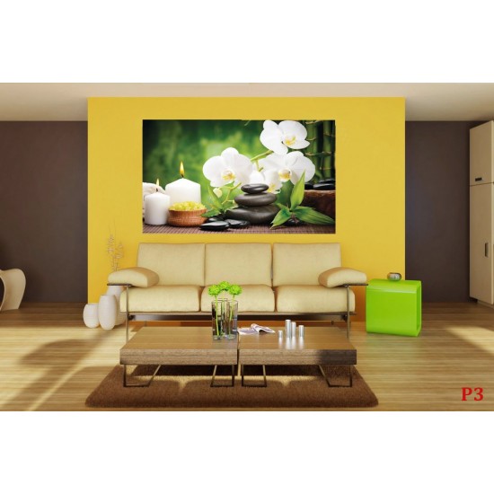 Wallpapers spa composition with bamboo and white orchids Wallpapers spa composition with bamboo and white orchids
