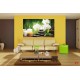 Wallpapers spa composition with bamboo and white orchids Wallpapers spa composition with bamboo and white orchids