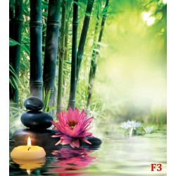 Wallpapers bamboo background with delicate flower and black stones