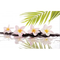 Photo mural spa stones, leaves and pink flowers