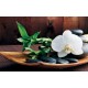 Wallpapers mural spa with orchid in brown