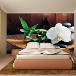 Wallpapers mural spa with orchid in brown