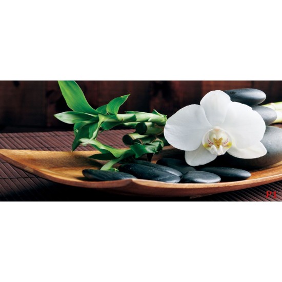 Wallpapers mural spa with orchid in brown