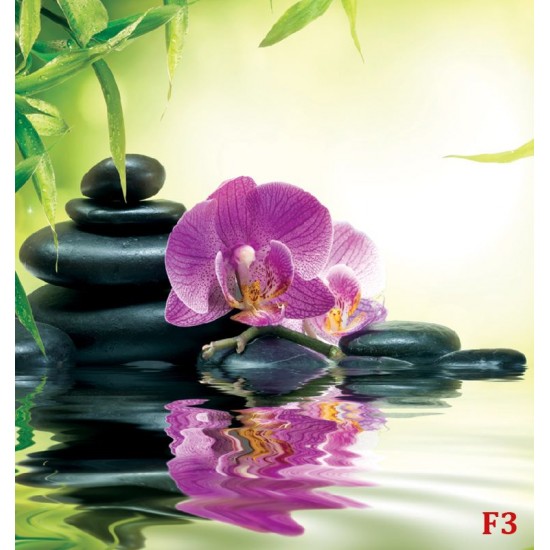 Wallpapers spa composition with orchid and stones Wallpapers spa composition with orchid and stones