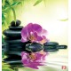 Wallpapers spa composition with orchid and stones Wallpapers spa composition with orchid and stones