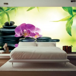 Wallpapers spa composition with orchid and stones