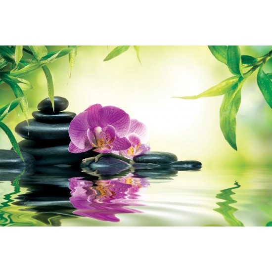 Wallpapers spa composition with orchid and stones Wallpapers spa composition with orchid and stones