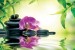 Wallpapers spa composition with orchid and stones