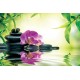 Wallpapers spa composition with orchid and stones Wallpapers spa composition with orchid and stones
