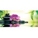 Wallpapers spa composition with orchid and stones Wallpapers spa composition with orchid and stones