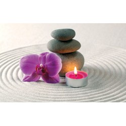 Wallpapers mural orchid with sand