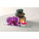 Wallpapers mural orchid with sand Wallpapers mural orchid with sand