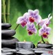 Wallpapers spa composition with orchid branch