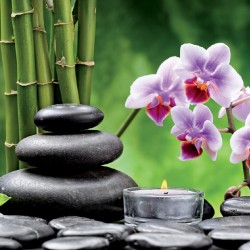 Wallpapers spa composition with orchid branch