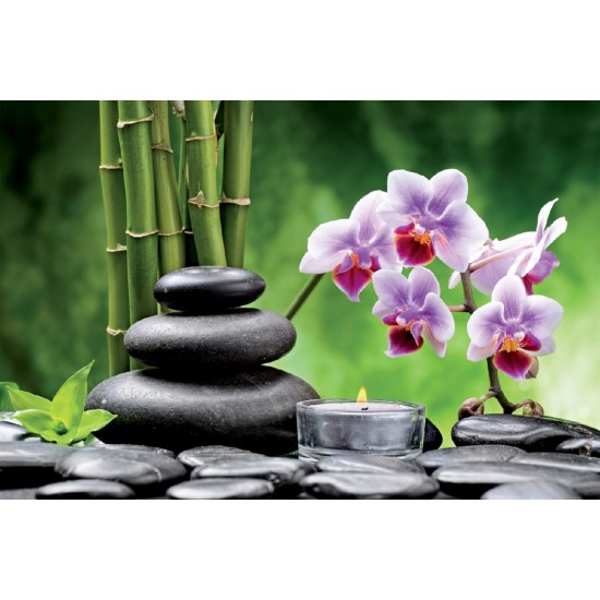 Wallpapers spa composition with orchid branch