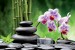 Wallpapers spa composition with orchid branch