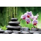 Wallpapers spa composition with orchid branch
