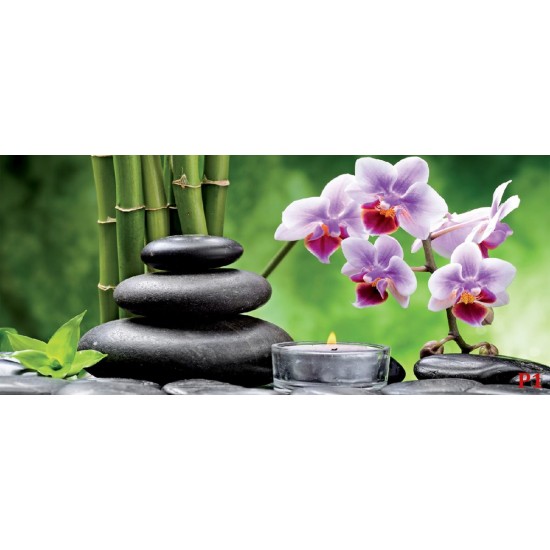Wallpapers spa composition with orchid branch