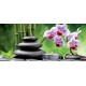 Wallpapers spa composition with orchid branch