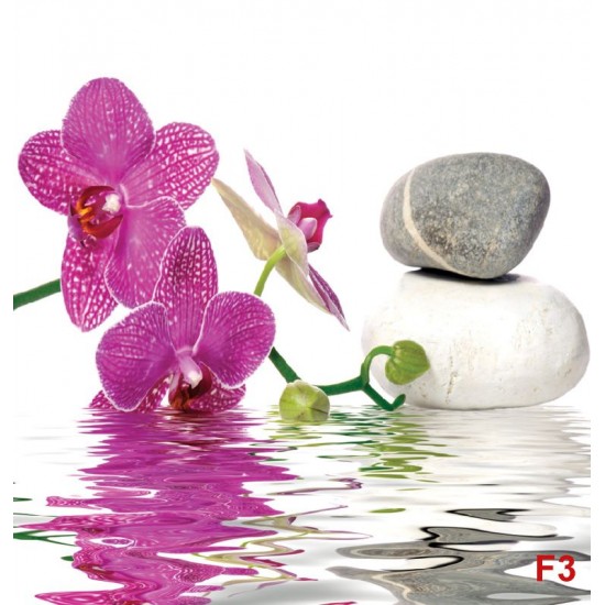 Wallpapers mural orchid and spa stones in water