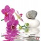 Wallpapers mural orchid and spa stones in water