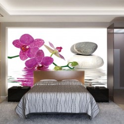 Wallpapers mural orchid and spa stones in water Wallpapers mural orchid and spa stones in water