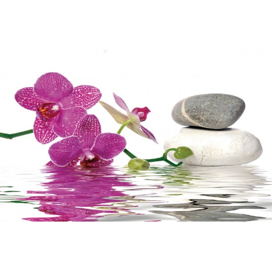 Wallpapers mural orchid and spa stones in water