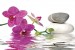 Wallpapers mural orchid and spa stones in water