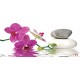 Wallpapers mural orchid and spa stones in water