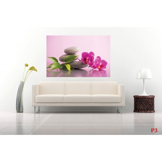 Wallpapers mural orchid and spa stones in pink background