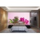 Wallpapers mural orchid and spa stones in pink background