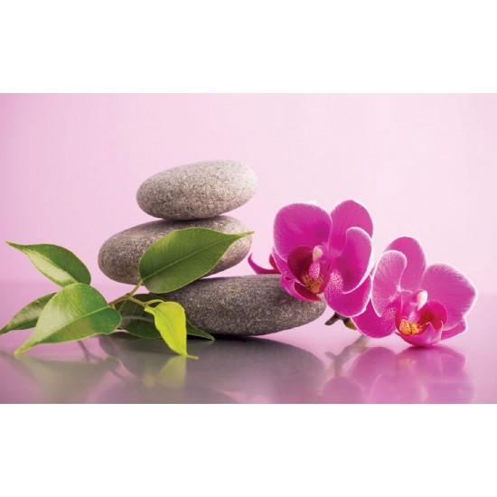 Wallpapers mural orchid and spa stones in pink background