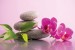 Wallpapers mural orchid and spa stones in pink background