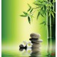 Photo mural bamboo and grey spa stones Photo mural bamboo and grey spa stones