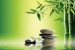 Photo mural bamboo and grey spa stones