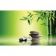 Photo mural bamboo and grey spa stones Photo mural bamboo and grey spa stones