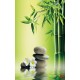 Photo mural bamboo and grey spa stones Photo mural bamboo and grey spa stones