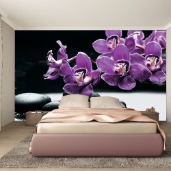 Wallpapers mural purple orchid branch with black stones