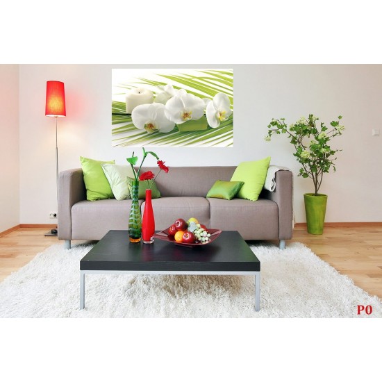 Wall murals spa orchids in white and green