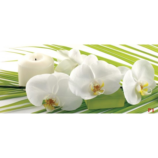Wall murals spa orchids in white and green