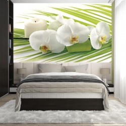 Wall murals spa orchids in white and green