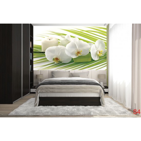 Wall murals spa orchids in white and green