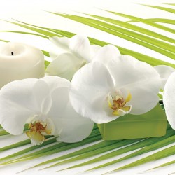 Wall murals spa orchids in white and green