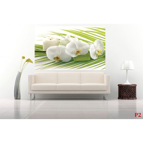 Wall murals spa orchids in white and green