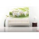Wall murals spa orchids in white and green