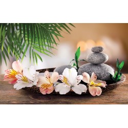 Wallpapers mural Spa composition in brown and pink flowers