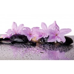 Wallpapers mural spa stones with wonderful purple flowers