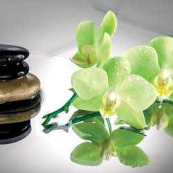 Wallpapers mural spa stones with green orchids