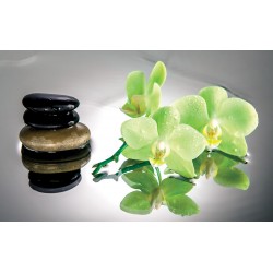 Wallpapers mural spa stones with green orchids
